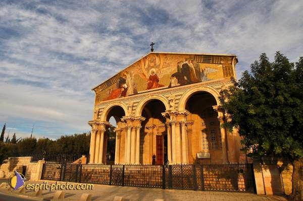 Nom de l'image : D1201146-1 — Description :  Voyage en Terre Sainte avec Jeunesse Lumière