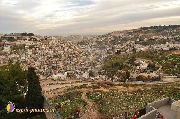 Nom de l'image : D1201166-1 — Description :  Voyage en Terre Sainte avec Jeunesse Lumière