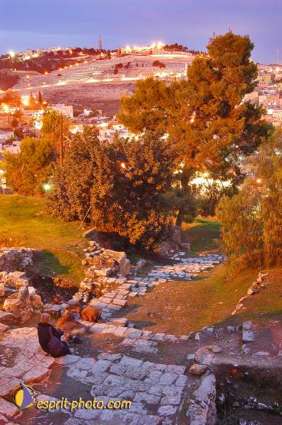 Nom de l'image : D1201226-1 — Description :  Voyage en Terre Sainte avec Jeunesse Lumière