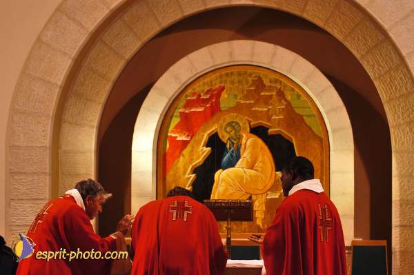 Nom de l'image : D1201239-1 — Description :  Voyage en Terre Sainte avec Jeunesse Lumière