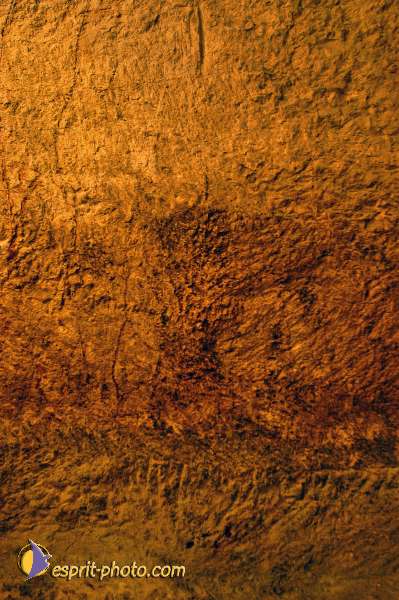 Nom de l'image : E00024172-1 — Description :