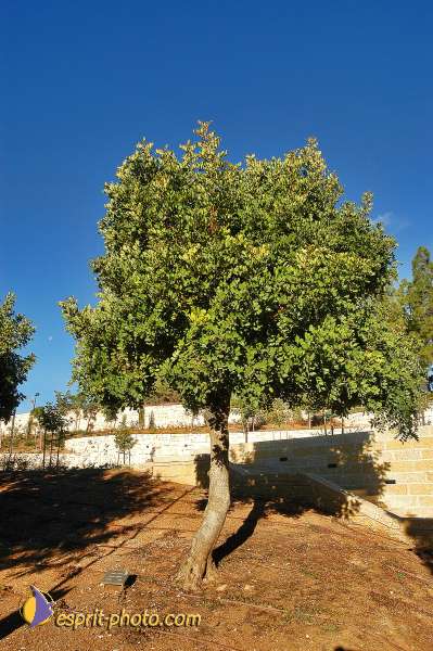 Jerusalem Yad Vashem