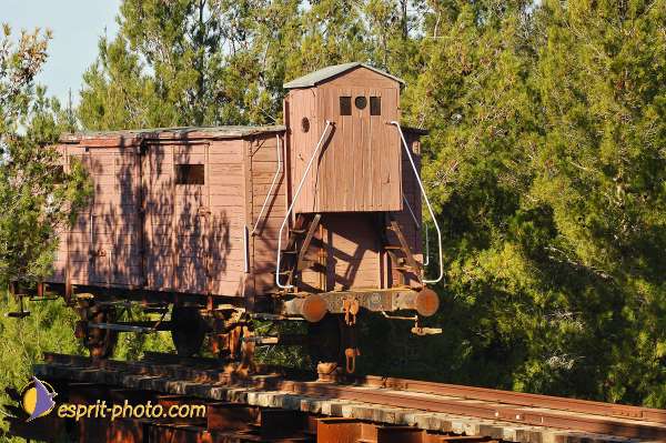 Nom de l'image : D1201641-1 — Description :  Voyage en Terre Sainte avec Jeunesse Lumière