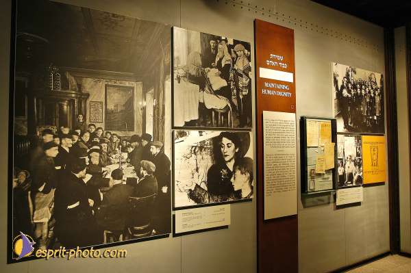 Nom de l'image : D1201720-1 — Description :  Voyage en Terre Sainte avec Jeunesse Lumière