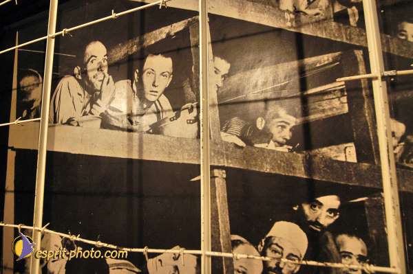 Nom de l'image : D1201747-1 — Description :  Voyage en Terre Sainte avec Jeunesse Lumière