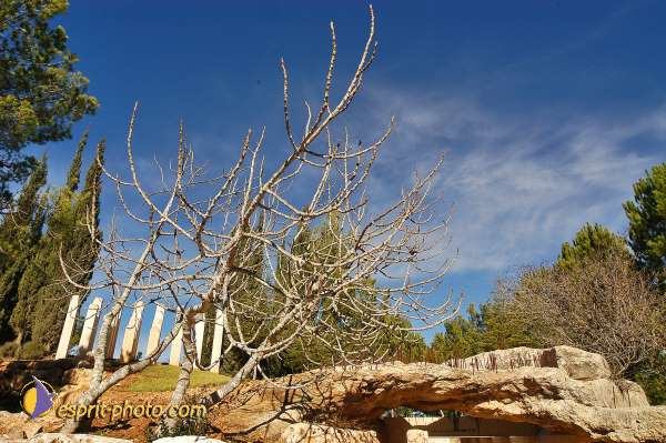 Nom de l'image : D1201778-1 — Description :  Voyage en Terre Sainte avec Jeunesse Lumière