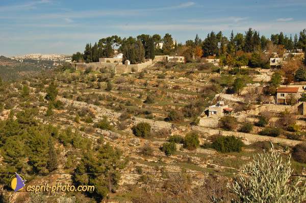 Jerusalem Basilique De La Visitaion