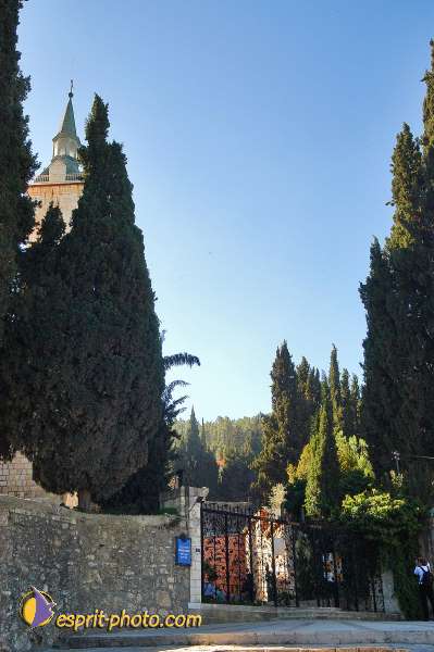 Nom de l'image : D1201784-1 — Description :  Voyage en Terre Sainte avec Jeunesse Lumière