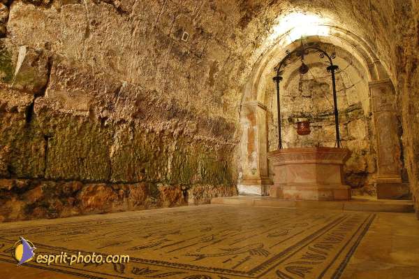 Nom de l'image : D1201828-1 — Description :  Voyage en Terre Sainte avec Jeunesse Lumière