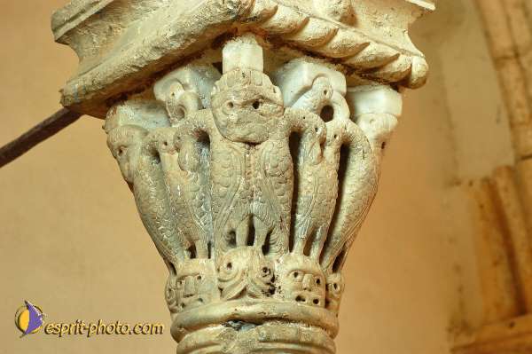 Nom de l'image : D1201934-1 — Description :  Voyage en Terre Sainte avec Jeunesse Lumière