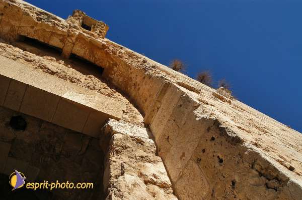 Nom de l'image : D1201974-1 — Description :  Voyage en Terre Sainte avec Jeunesse Lumière