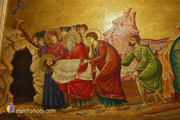 Nom de l'image : D1202356-1 — Description :  Voyage en Terre Sainte avec Jeunesse Lumière