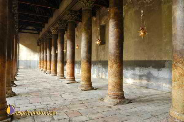 Nom de l'image : D1202742-1 — Description :  Voyage en Terre Sainte avec Jeunesse Lumière