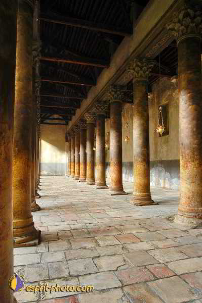 Nom de l'image : D1202747-1 — Description :  Voyage en Terre Sainte avec Jeunesse Lumière