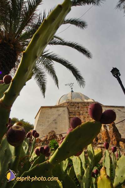 Nom de l'image : D1203183-1 — Description :  Voyage en Terre Sainte avec Jeunesse Lumière
