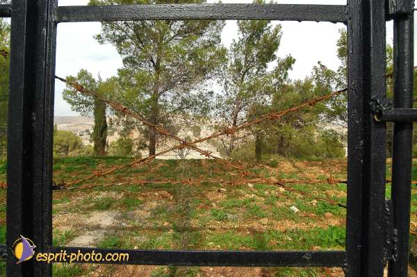 Nom de l'image : D1203194-1 — Description :  Voyage en Terre Sainte avec Jeunesse Lumière