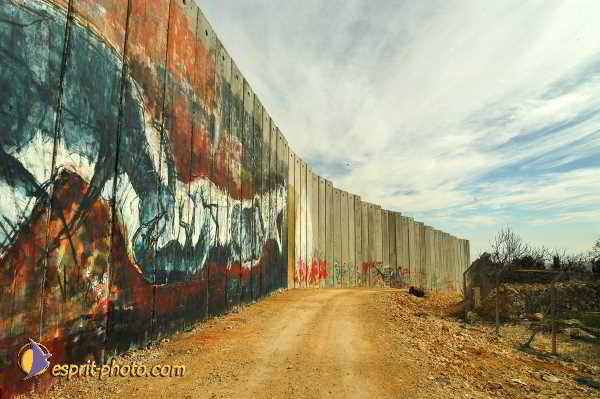 Nom de l'image : D1203213-1 — Description :  Voyage en Terre Sainte avec Jeunesse Lumière