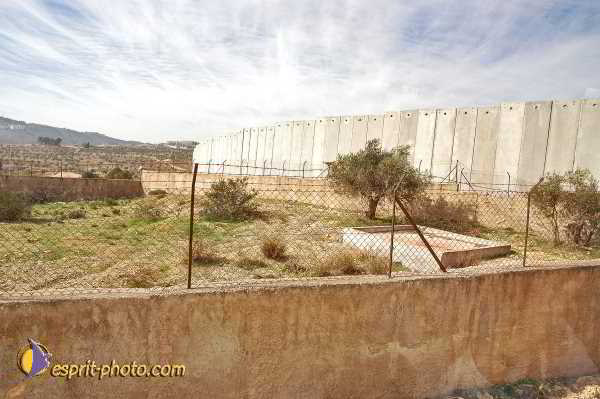 Nom de l'image : D1203443-1 — Description :  Voyage en Terre Sainte avec Jeunesse Lumière