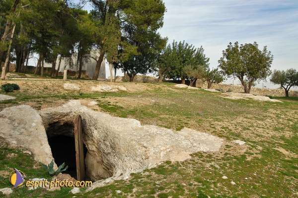 Nom de l'image : D1203558-1 — Description :  Voyage en Terre Sainte avec Jeunesse Lumière