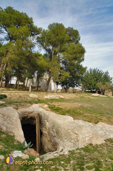 Nom de l'image : D1203559-1 — Description :  Voyage en Terre Sainte avec Jeunesse Lumière