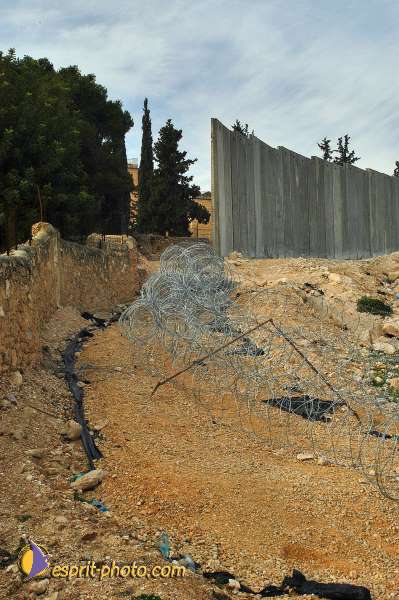 Nom de l'image : D1203570-1 — Description :  Voyage en Terre Sainte avec Jeunesse Lumière
