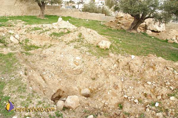 Nom de l'image : D1203579-1 — Description :  Voyage en Terre Sainte avec Jeunesse Lumière