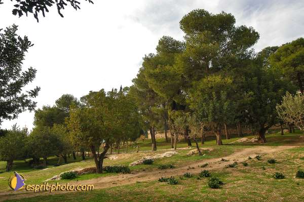 Nom de l'image : D1203597-1 — Description :  Voyage en Terre Sainte avec Jeunesse Lumière