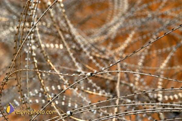 Nom de l'image : D1203618-1 — Description :  Voyage en Terre Sainte avec Jeunesse Lumière