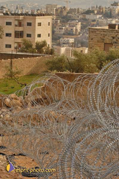 Nom de l'image : D1203630-1 — Description :  Voyage en Terre Sainte avec Jeunesse Lumière