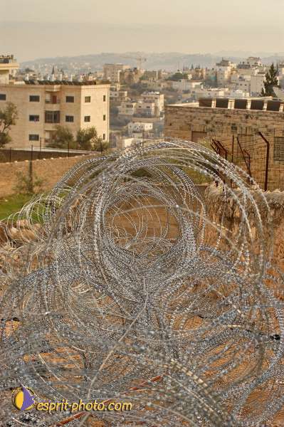 Nom de l'image : D1203636-1 — Description :  Voyage en Terre Sainte avec Jeunesse Lumière