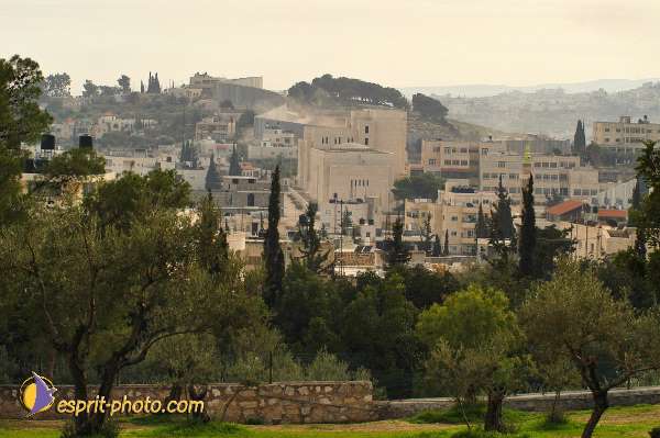 Nom de l'image : D1203669-1 — Description :  Voyage en Terre Sainte avec Jeunesse Lumière