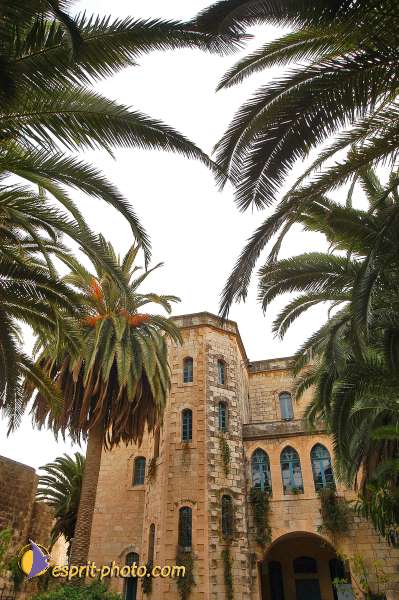 Nom de l'image : D1203737-1 — Description :  Voyage en Terre Sainte avec Jeunesse Lumière