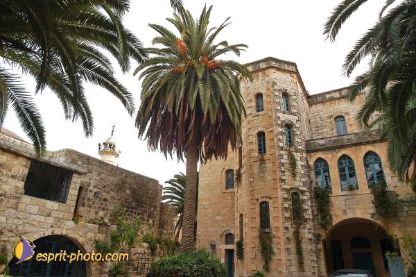 Nom de l'image : D1203738-1 — Description :  Voyage en Terre Sainte avec Jeunesse Lumière