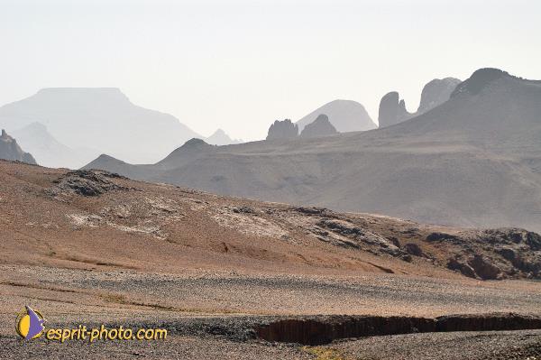 Nom de l'image : D1235416-1 — Description :