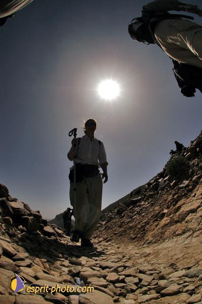 Nom de l'image : D1235611-1 — Description :