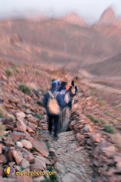 Nom de l'image : D1236060-1 — Description :