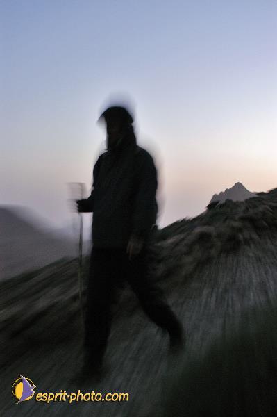 Nom de l'image : D1236073-1 — Description :