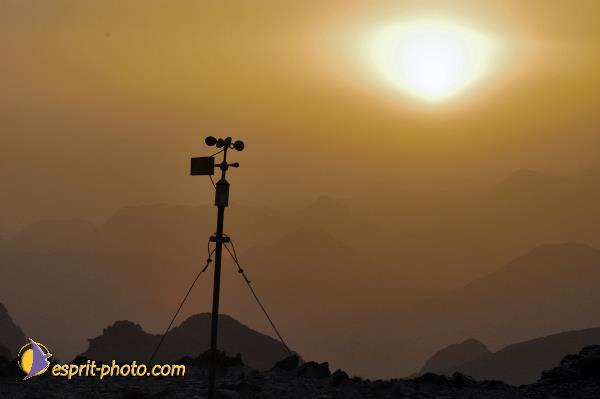 Nom de l'image : D1236132-1 — Description :