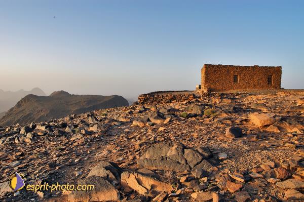 Nom de l'image : D1236188-1 — Description :