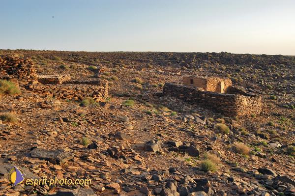 Nom de l'image : D1236190-1 — Description :