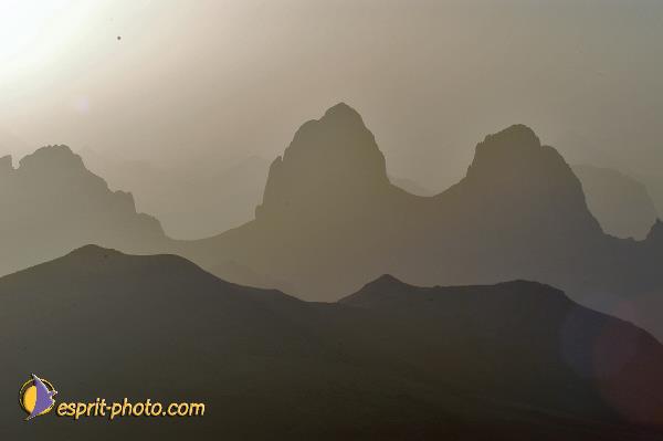 Nom de l'image : D1236205-1 — Description :