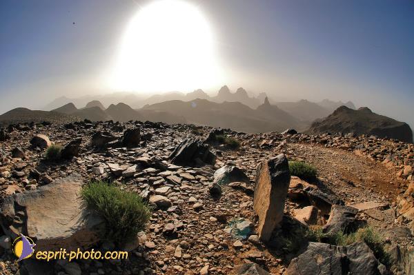 Nom de l'image : D1236274-1 — Description :