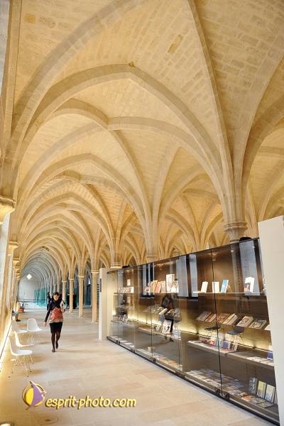 Nom de l'image : D30037039_1 — Description :