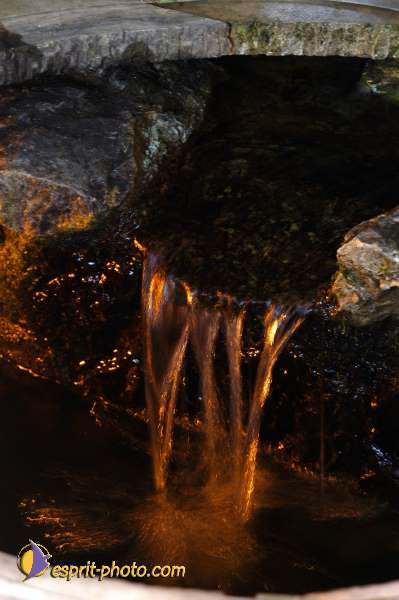 Nom de l'image : D1162307-01 — Description :  Lourdes 2004 - Pèlerinage du Pape à Lourdes