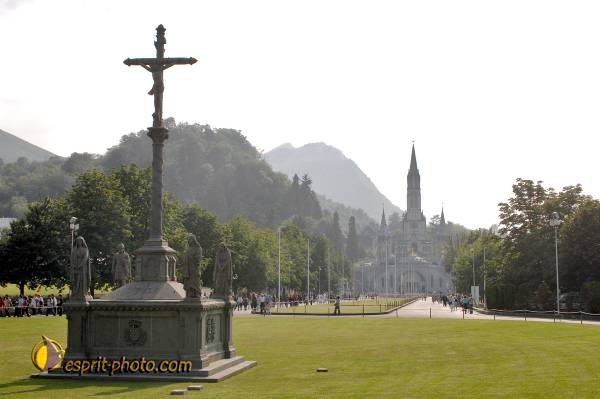 Nom de l'image : D2233329_1 — Description :