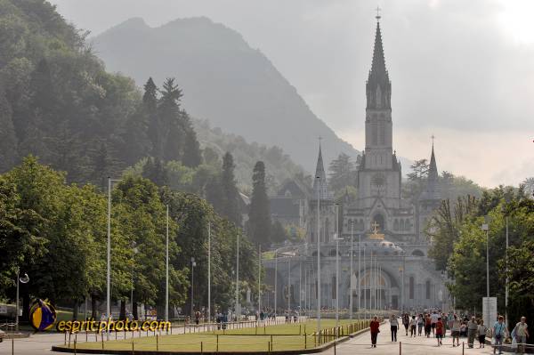 Nom de l'image : D2233343_1 — Description :