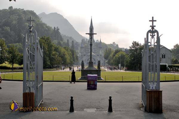 Nom de l'image : D2233356_1 — Description :