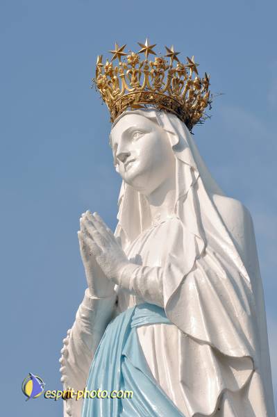 Nom de l'image : D2233389_1 — Description :