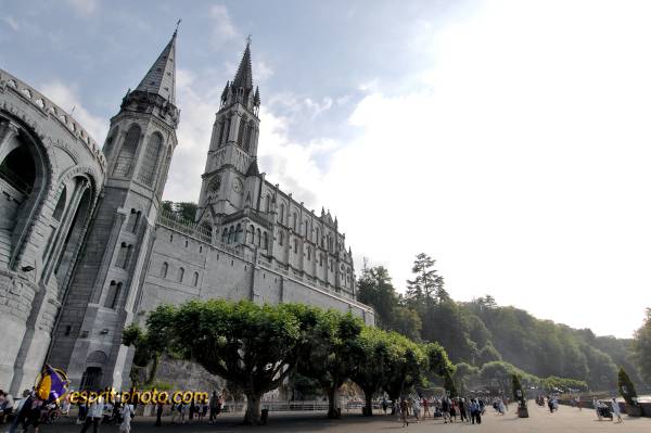 Nom de l'image : D2233418_1 — Description :