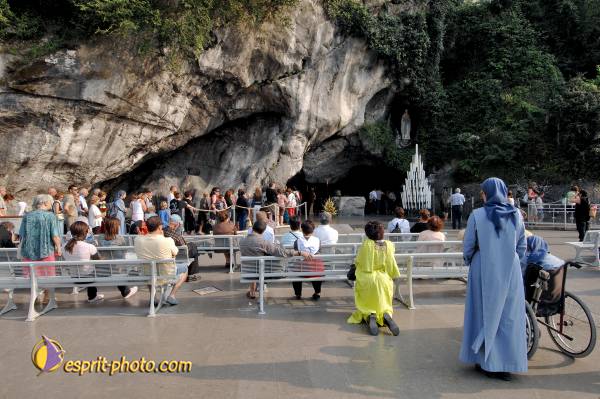 Nom de l'image : D2233432_1 — Description :